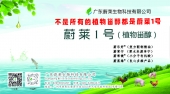 蔚萊佳作：植物甾醇通過(guò)調(diào)節(jié)小鼠腸道菌群和膽固醇代謝緩解高脂血癥